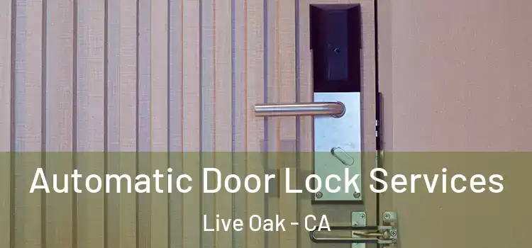 Automatic Door Lock Services Live Oak - CA