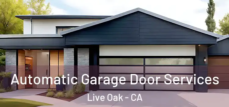  Automatic Garage Door Services Live Oak - CA