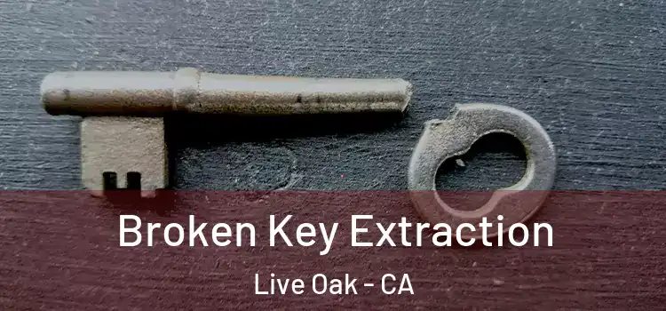 Broken Key Extraction Live Oak - CA