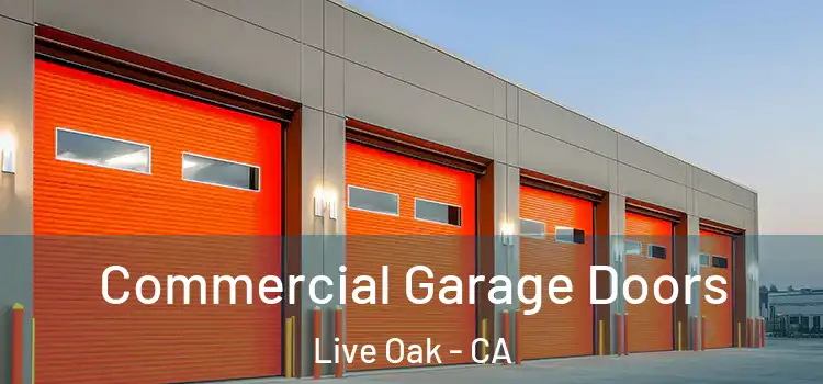  Commercial Garage Doors Live Oak - CA