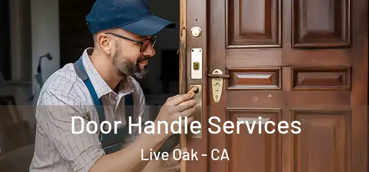  Door Handle Services Live Oak - CA