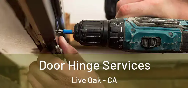 Door Hinge Services Live Oak - CA