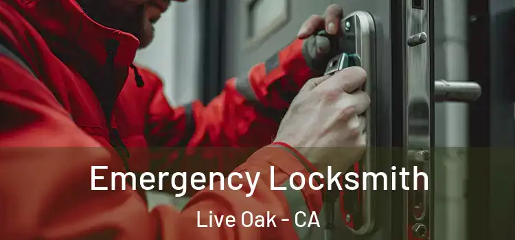 Emergency Locksmith Live Oak - CA