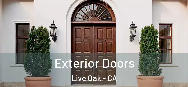  Exterior Doors Live Oak - CA