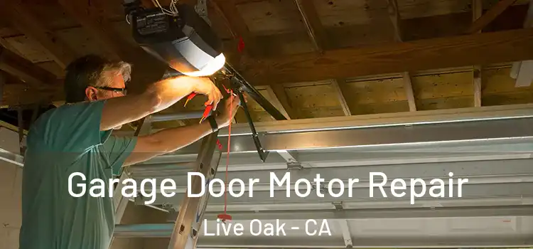  Garage Door Motor Repair Live Oak - CA