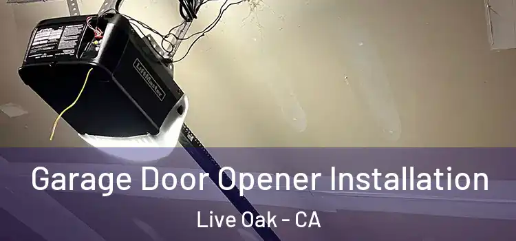  Garage Door Opener Installation Live Oak - CA
