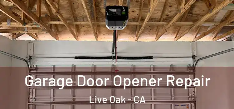  Garage Door Opener Repair Live Oak - CA