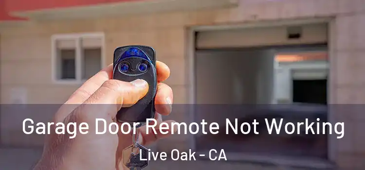  Garage Door Remote Not Working Live Oak - CA