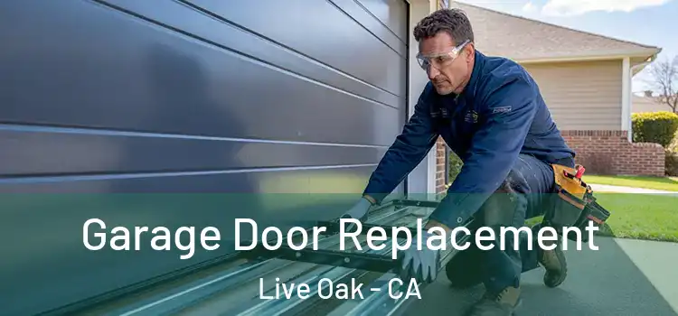  Garage Door Replacement Live Oak - CA