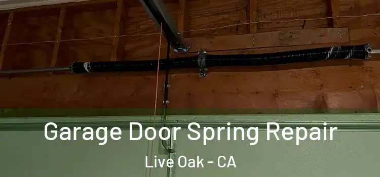  Garage Door Spring Repair Live Oak - CA