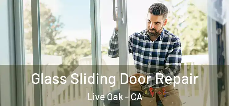 Glass Sliding Door Repair Live Oak - CA