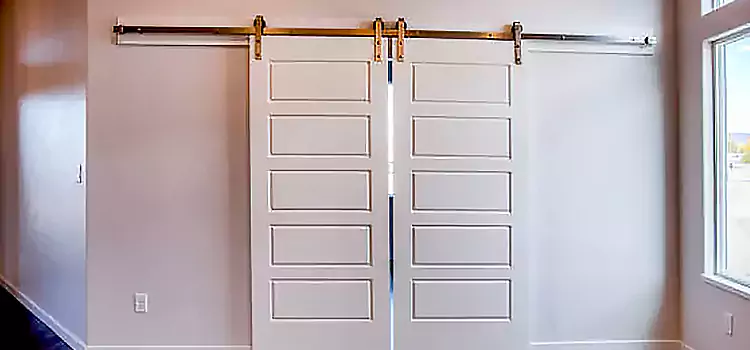 Glass Barn Door with Installation Hardware Kit Live Oak