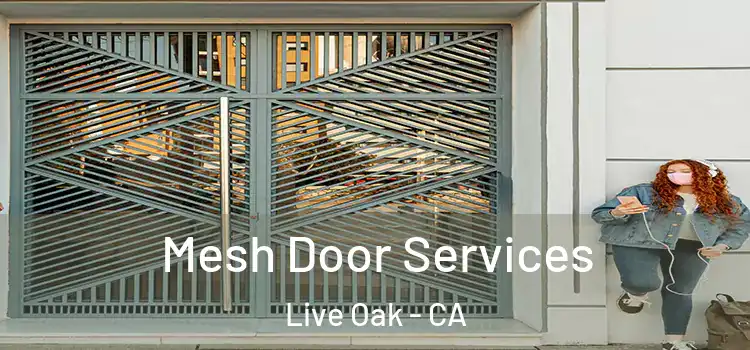  Mesh Door Services Live Oak - CA
