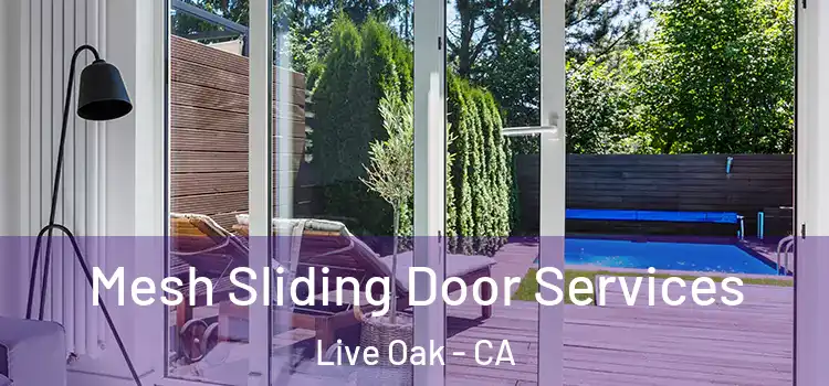 Mesh Sliding Door Services Live Oak - CA