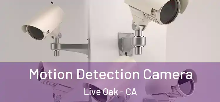  Motion Detection Camera Live Oak - CA
