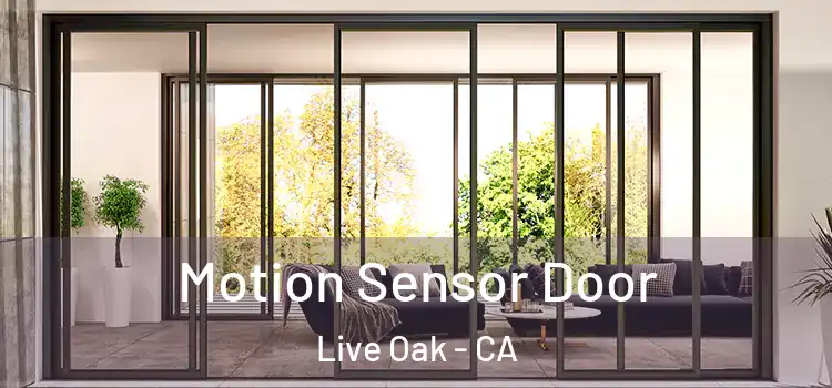  Motion Sensor Door Live Oak - CA