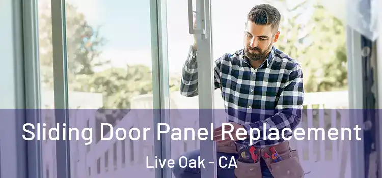  Sliding Door Panel Replacement Live Oak - CA