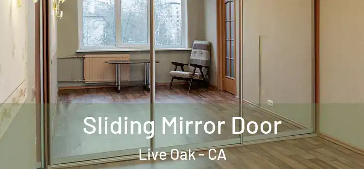  Sliding Mirror Door Live Oak - CA